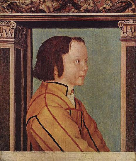 Ambrosius Holbein Young Boy with Brown Hair China oil painting art